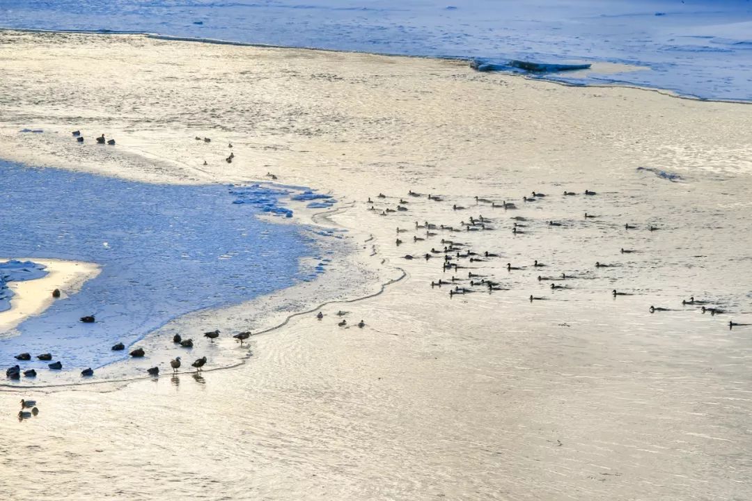 最漂亮的雾凇雪景在哪里,为什么吉林的雾凇最知名
