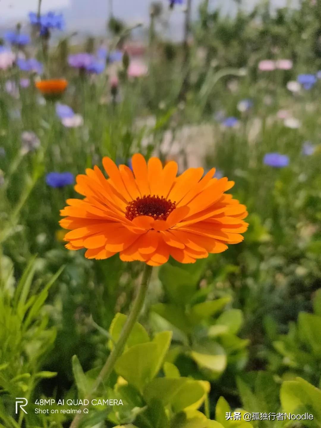 等你读懂会穿越时空，写给我家自闭症谱系女王的一封鸡毛信