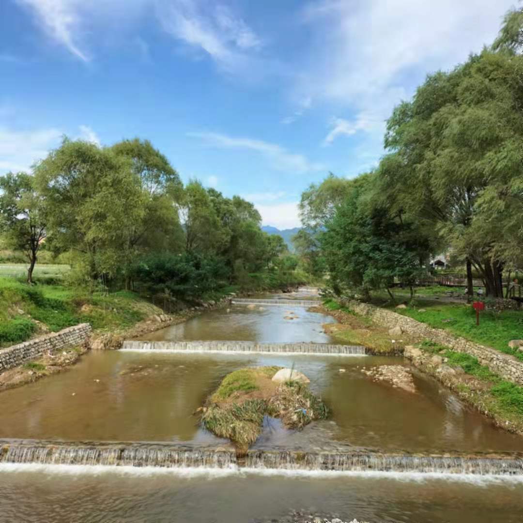 实用的工作述职报告模板汇总5篇,工作总结述职模板免费