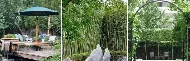 风水庭院景观设计,私家庭院景观风水设计