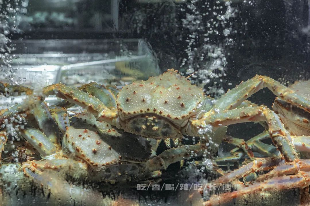 长沙性价比最高的10家餐厅,高逼格餐厅长沙