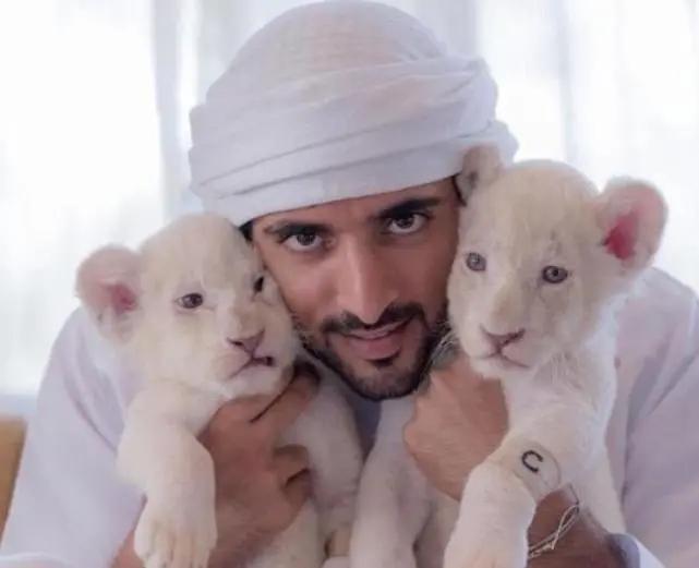 迪拜王妃哈雅与丈夫恩爱,迪拜王妃哈雅离婚成功