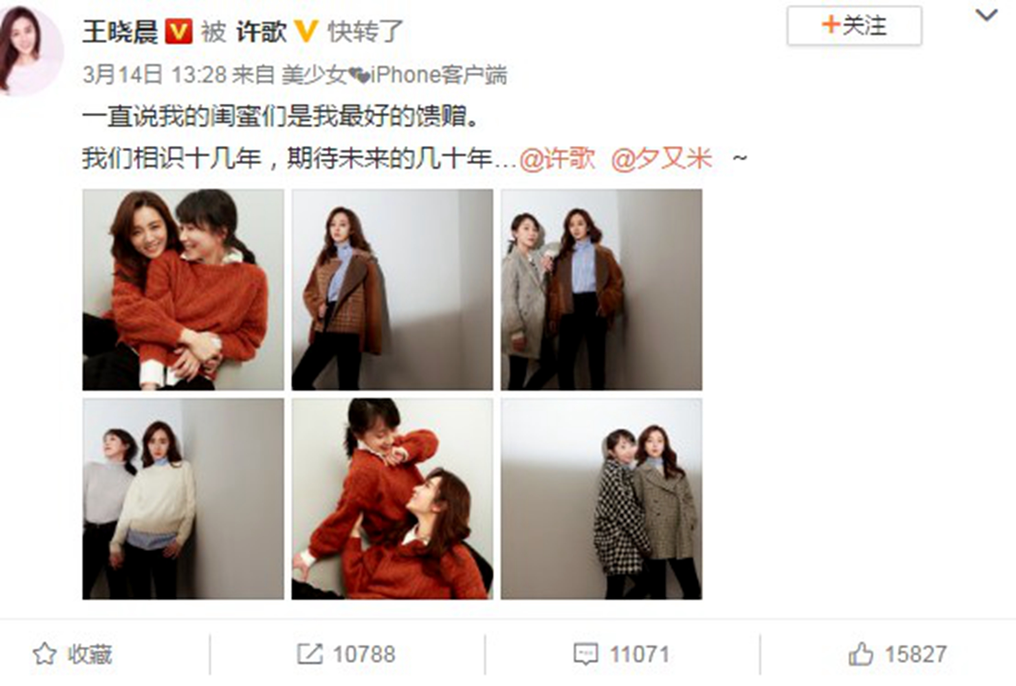 王晓晨绝世而独立,王晓晨是多少男人心中的女神