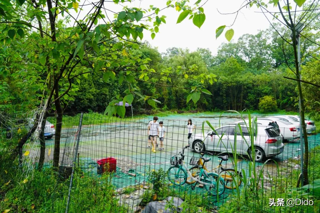 成都折扣超市,成都食品折扣超市