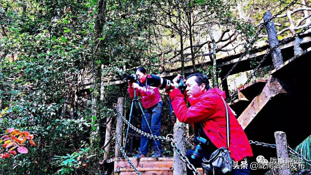 閲戠宄渤鍏洯,閲戠瑁曟渤鍥剧墖