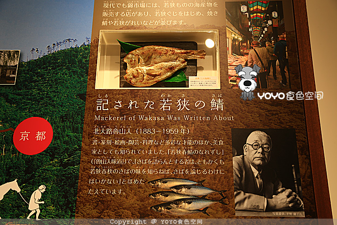 寻味青花鱼，探访「鲭街道」的起点：小浜