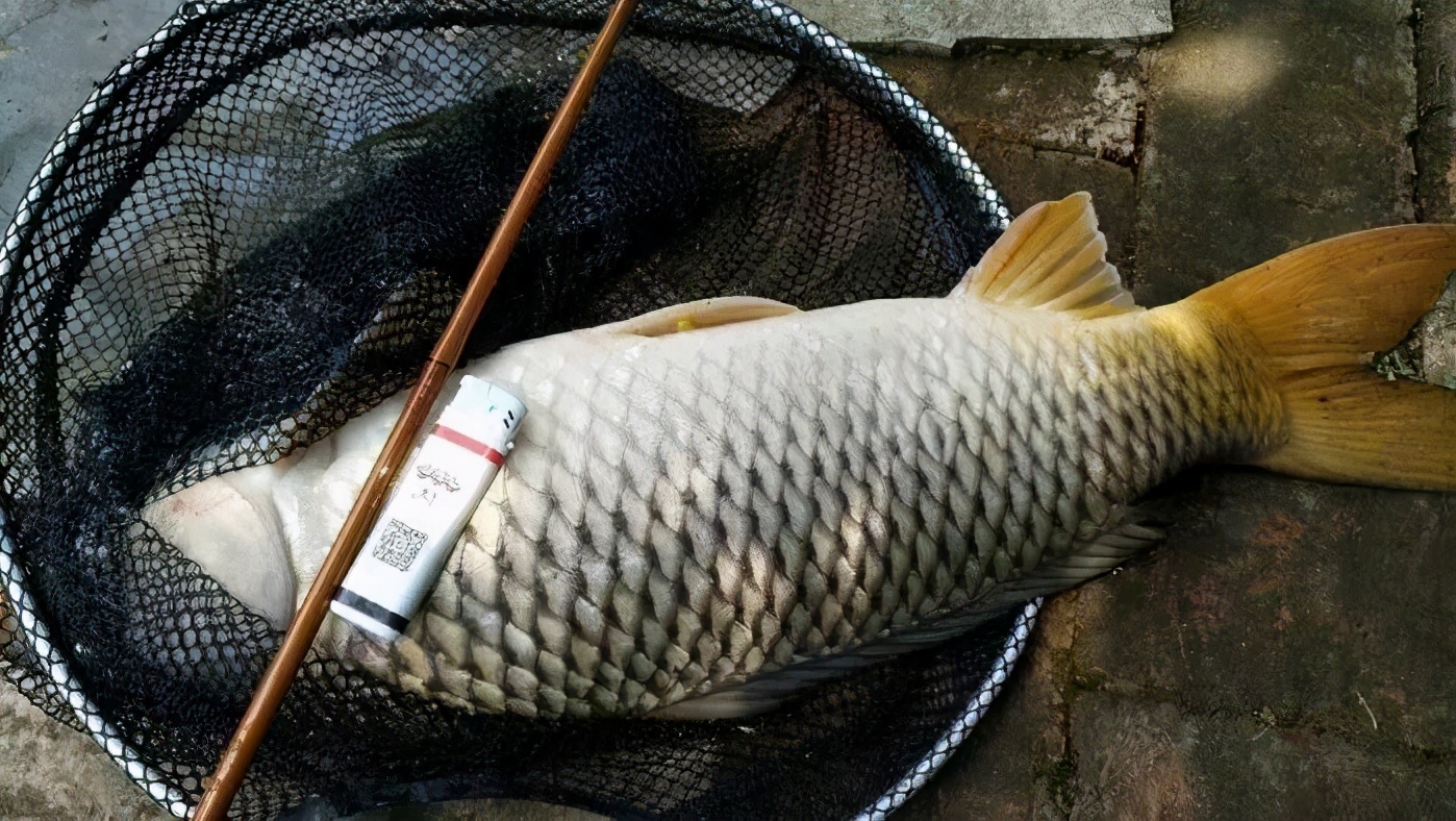 钓竿越长越轻越好吗,钓鱼竿为什么越长质量越差