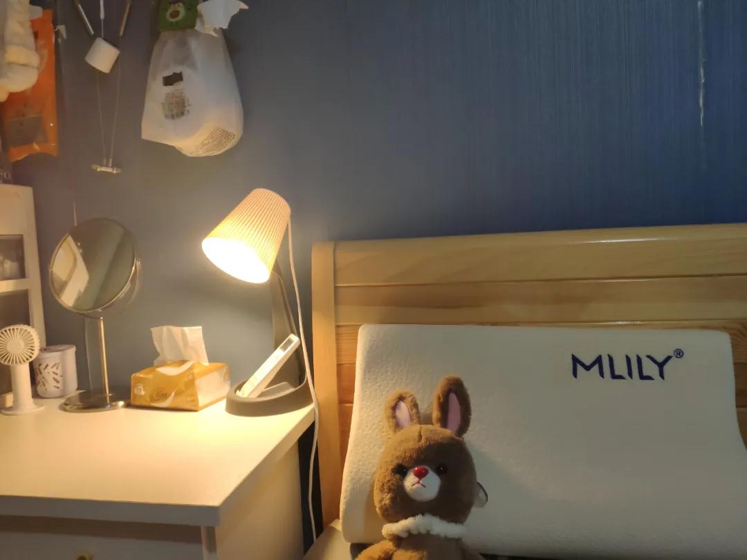 高质量发展在如皋|梦百合家居：首次“开仓”绽放品牌魅力，品质“圈粉”深耕国内市场！