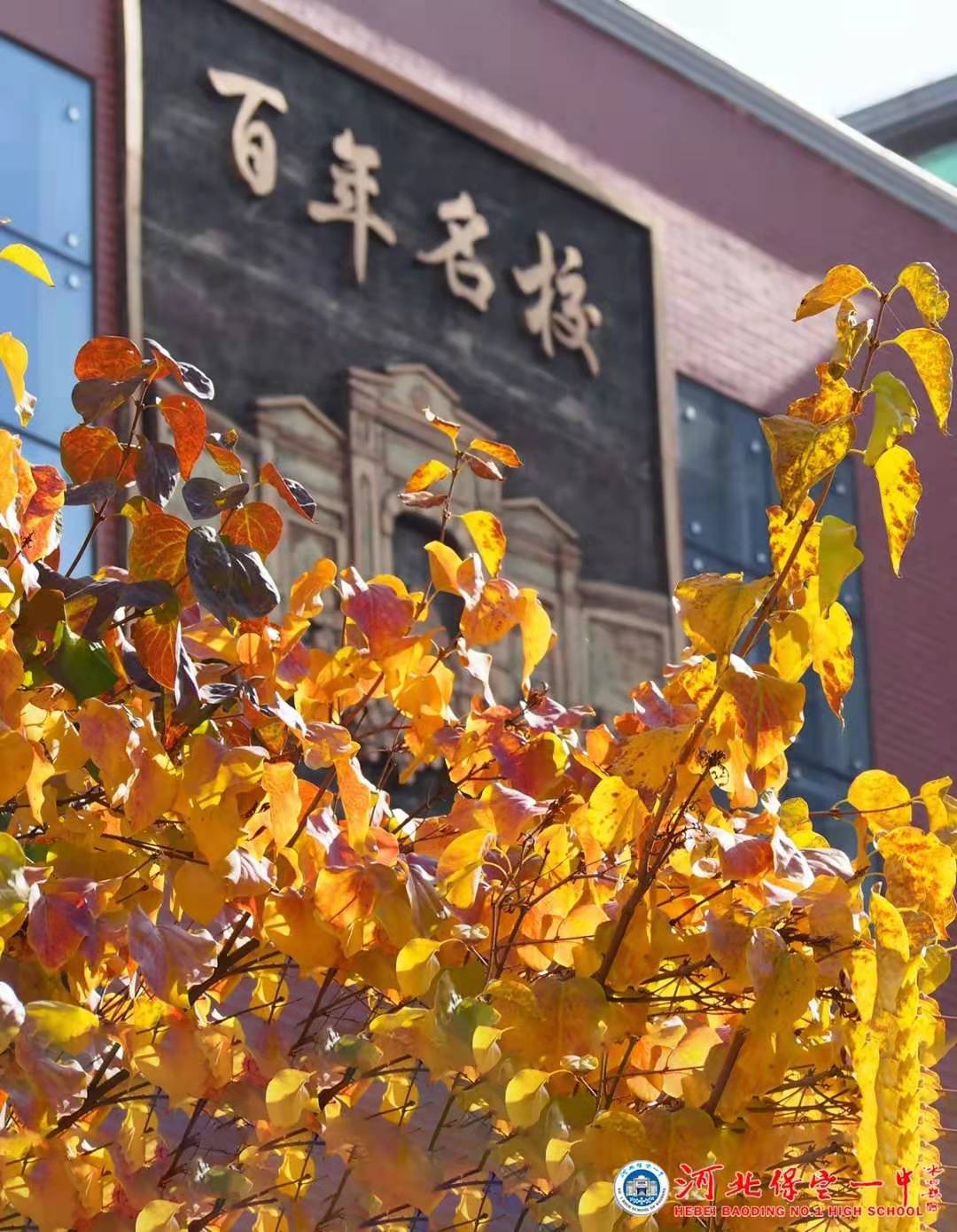 保定一中分校规划图,保定一中最新规划图