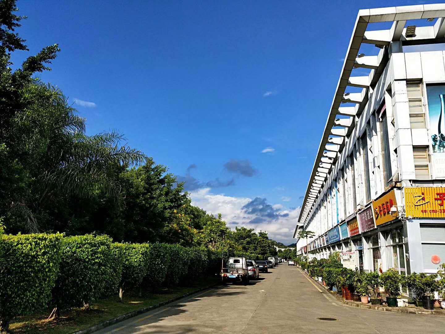 华南城有什么风景,华南城有多漂亮