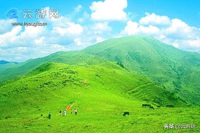 盘点茂名40个好玩的景点，茂名旅游景点大全就在这里了