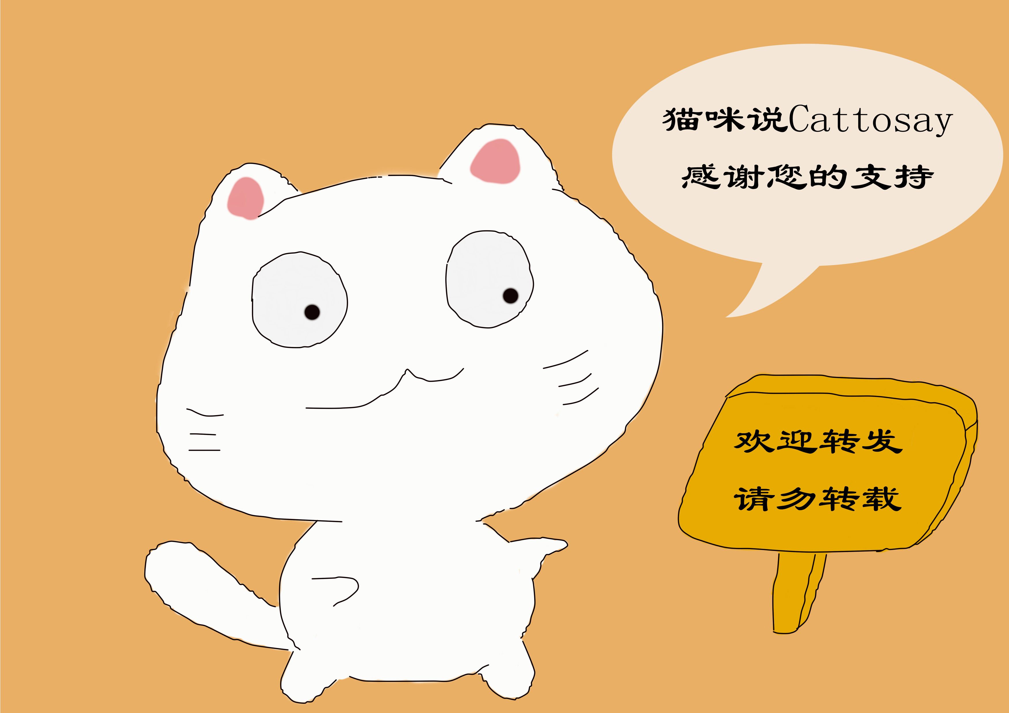 猫长时间单独在家，3种方式缓解猫的压力，铲屎官要转移猫注意力