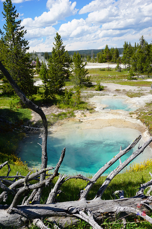 美国黄石国家公园是什么气候,美国黄石国家公园是丹霞地貌吗