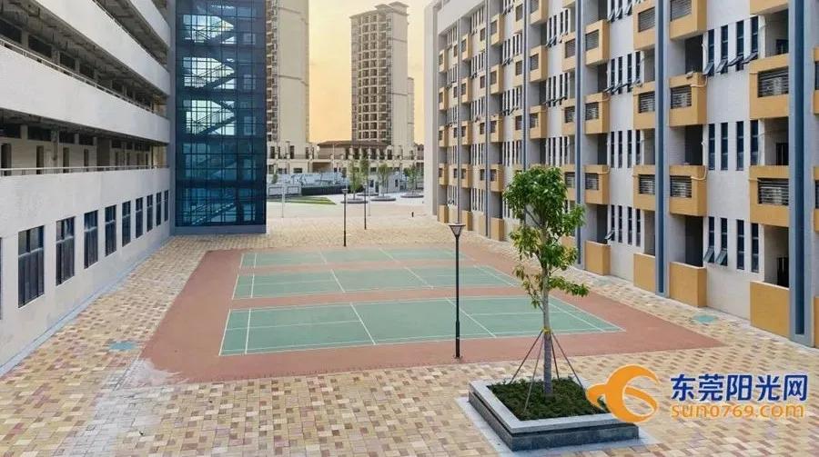 东莞这两年新增的公立学校,东莞市新增公办学校分布在哪里