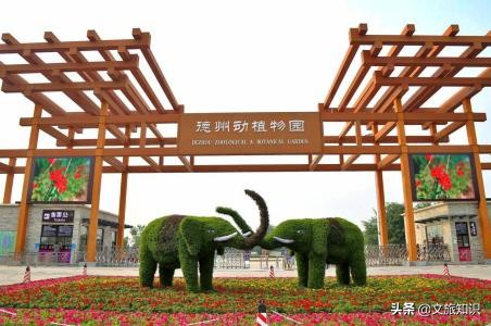 山东德州动植物园旅游区,德州市动植物园视频