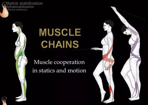 sps鍒涘浜虹悊鏌ュ痉,鐞嗘煡寰蜂翰鎺坰ps瀵煎笀