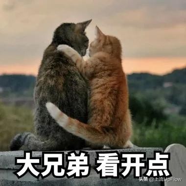 安徽为什么是中部地区,安徽为什么有那么多省