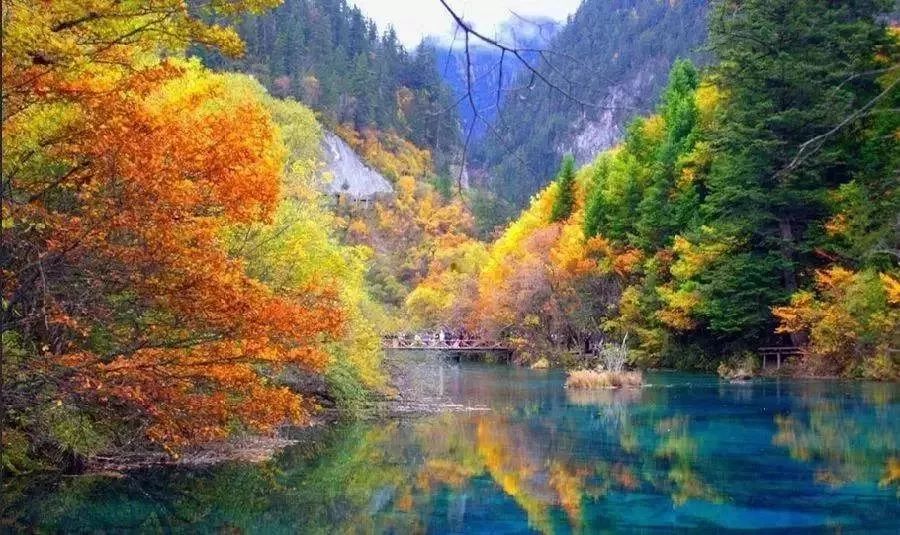 纵横视点——九大营销方式玩转旅游