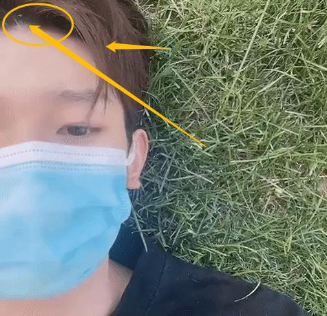 王源在台下自拍,王源躺在草地上的视频