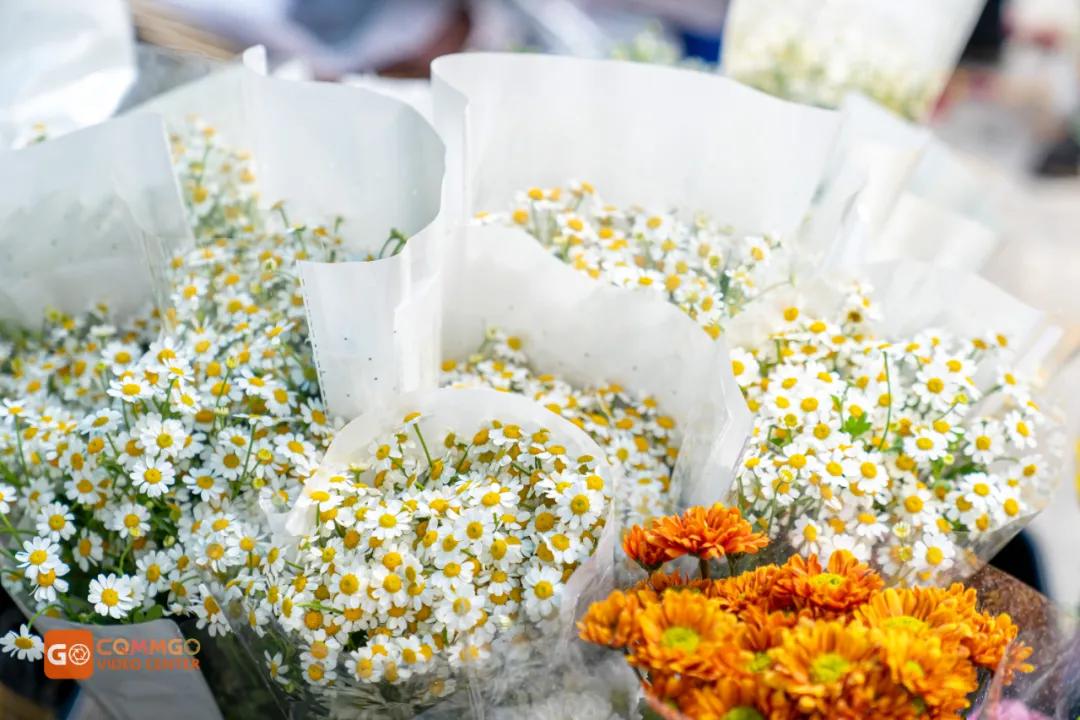 重庆最大的花市在哪里,重庆花市排名前十名