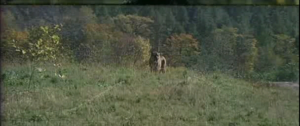 《紫日》紫色,代表太阳快落山了