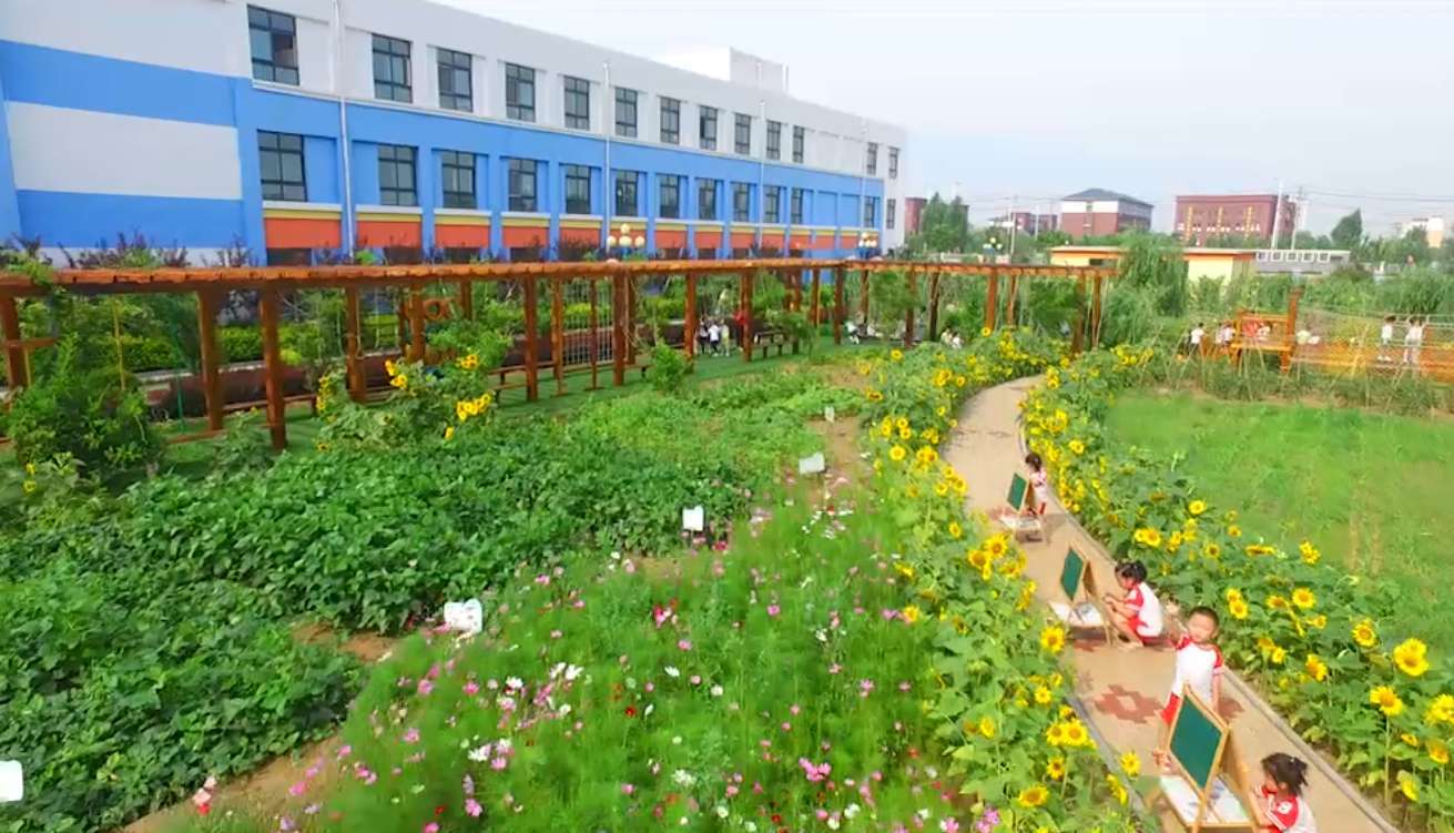 里则中心幼儿园六一,里则中心幼儿园招生