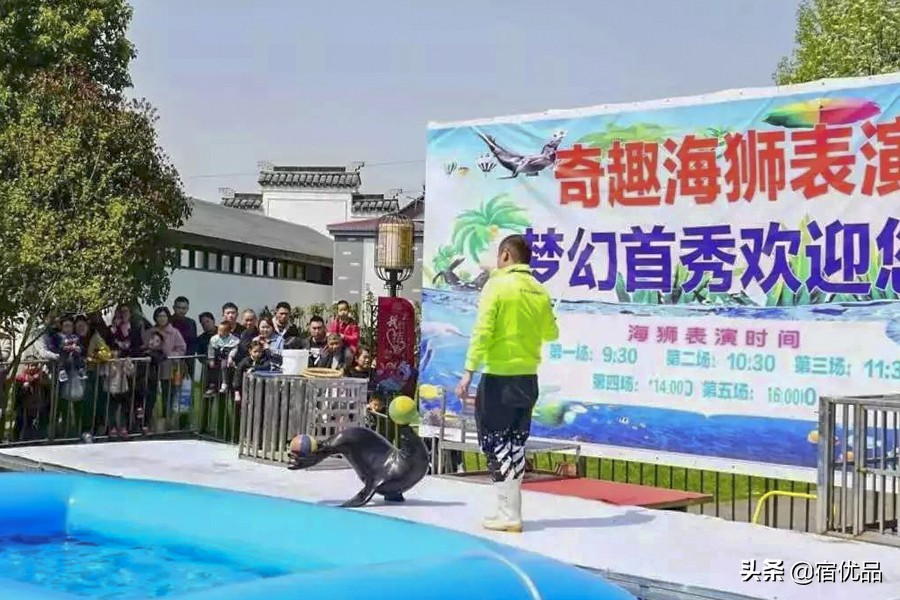 苏州太湖网红打卡地景点,苏州太湖度假区网红打卡地