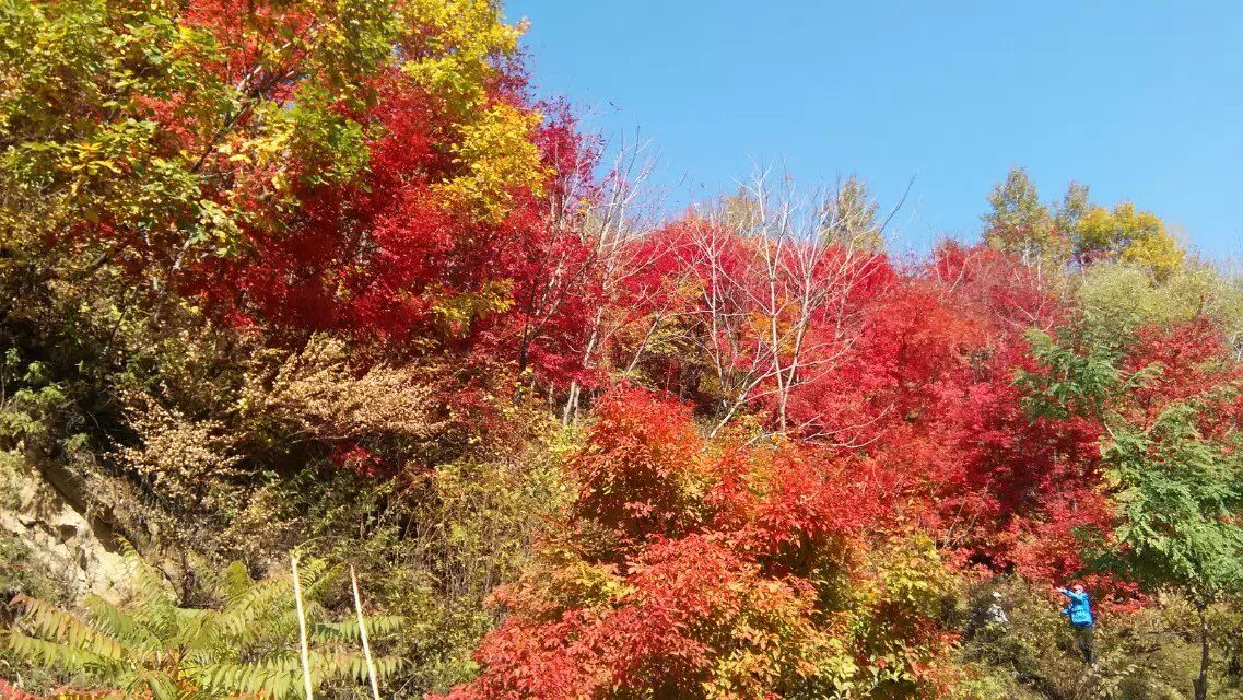 本溪画家村洋湖沟风景,本溪画家村洋湖沟露营