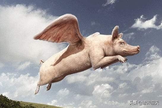 如何寻找商机抓住商机,教你如何抓住市场的商机