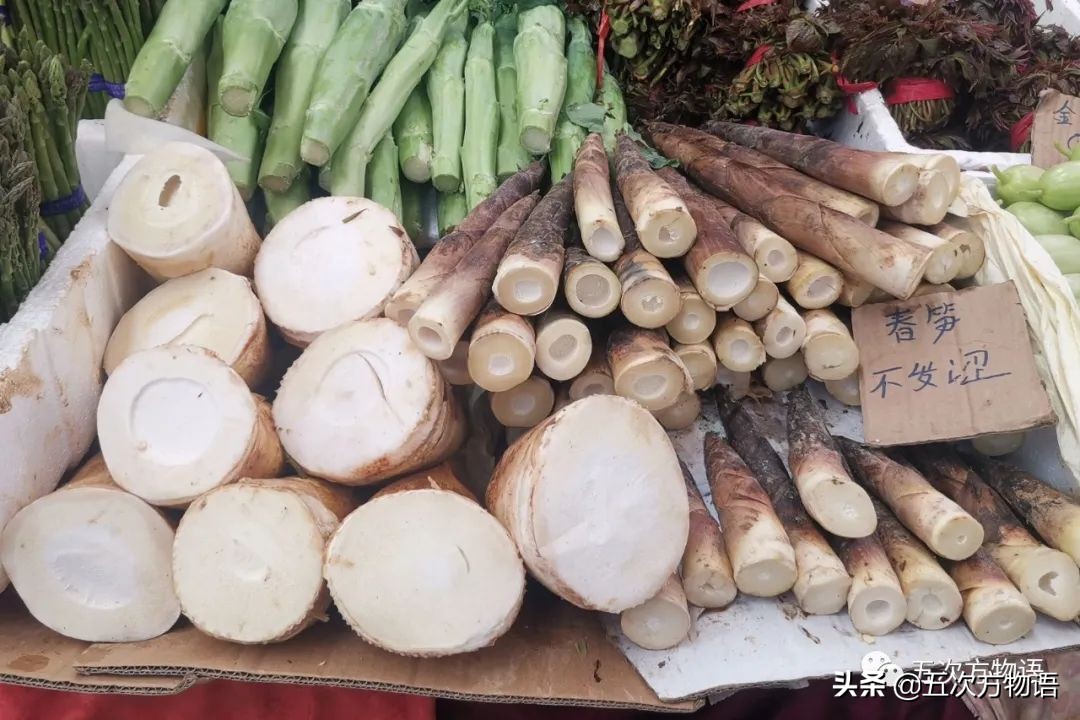 漫谈起源于中国的蔬菜