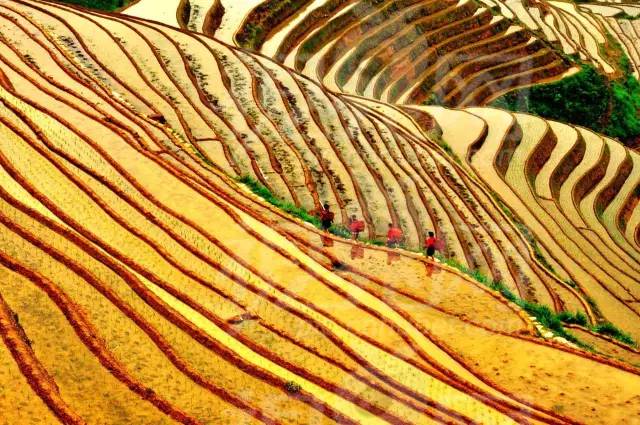 不负美景不负卿,不负美景不负卿经典语录