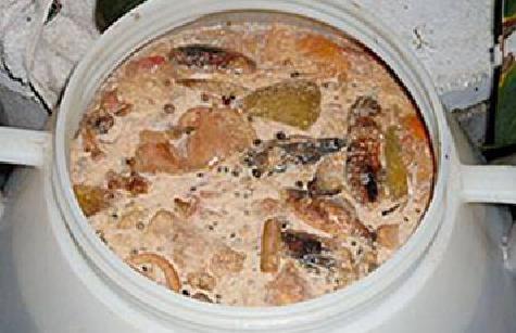 环保酵素制作堆肥的方法,自制酵素拖地