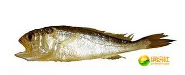 舟山海鲜攻略2天3晚吃什么,舟山海鲜代加工攻略