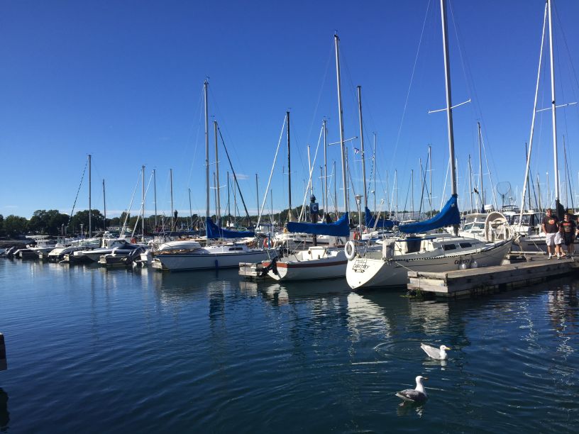 我的旅行故事精彩片段,我的旅行故事全集