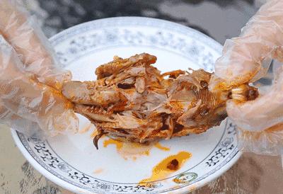 踏青打卡好去处双流空港公园,环城生态公园东片区