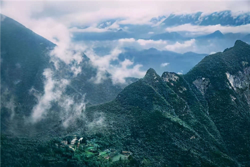 中林集团林业局,推进林业产业高质量发展举措