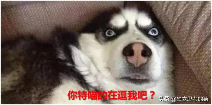 14天小白理财课程第5课：余额宝有很大的风险？