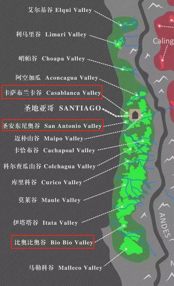 勃艮第黑皮诺好喝吗,勃艮第最顶级黑皮诺多少钱一瓶