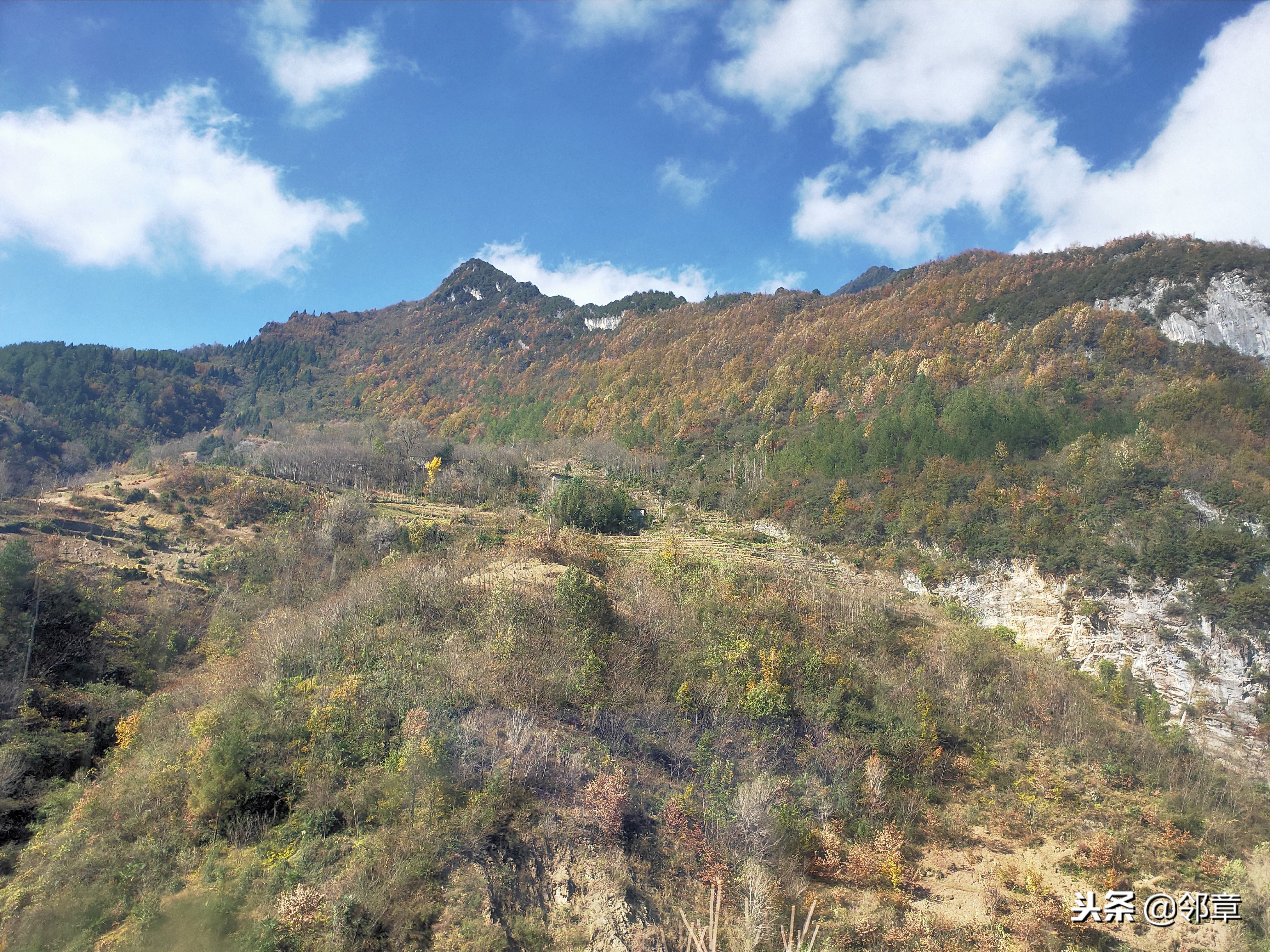 oppor17到底值不值得入手,oppor17还值得购买吗2019