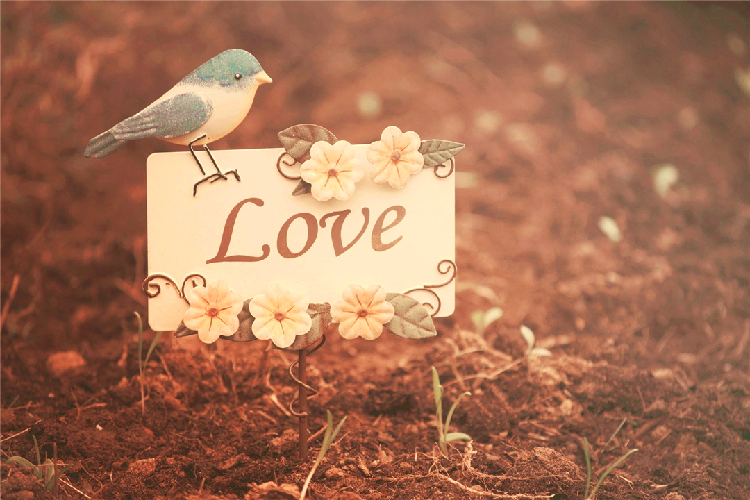 锦衣夜行深藏功与名,锦衣夜行贵公子