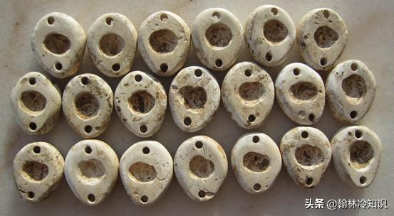 海边捡的贝壳能值多少钱,海边贝壳值钱吗