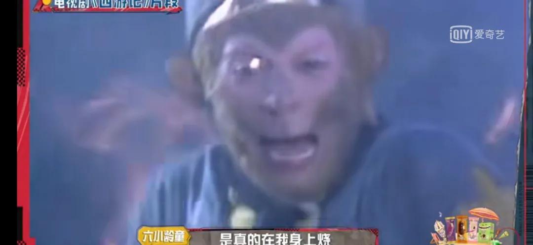 六小龄童上节目全部视频,六小龄童空降综艺视频