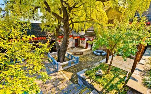 农村院子是混凝土地面，夏天会很热，你可以用这些方法来“降温”