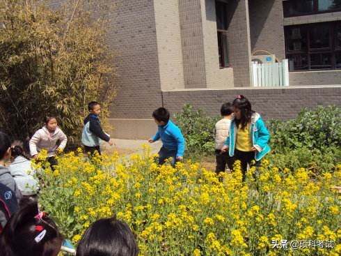 小学语文看图写话方法和技巧,一年级语文看图写话专项练习答案