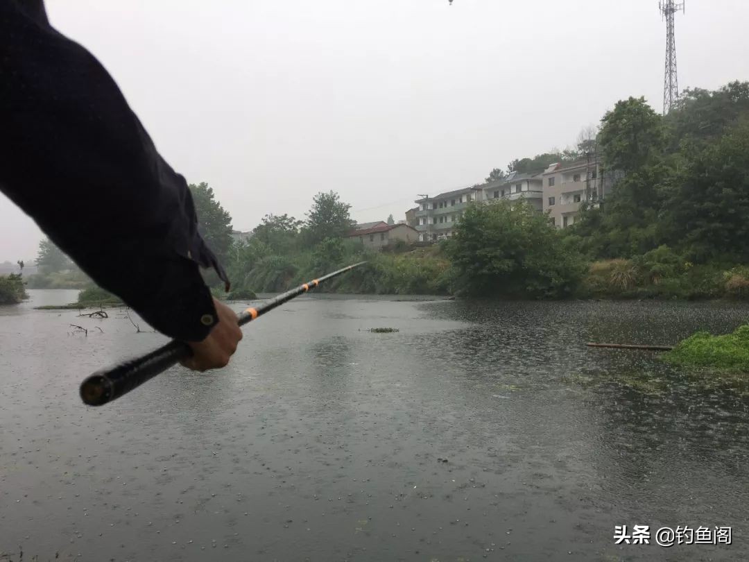 野钓鲫鱼用鲫鱼竿还是综合竿,鲫鱼竿能钓罗非吗