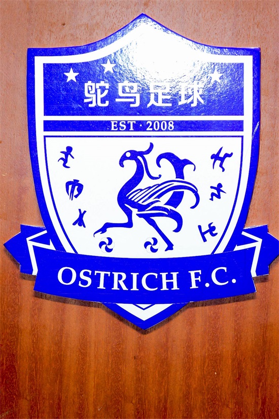 鸵鸟足球俱乐部报名,灵溪鸵鸟足球俱乐部怎么样