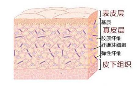 20岁有细纹怎么消除,25岁有皱纹用什么护肤品抗皱好