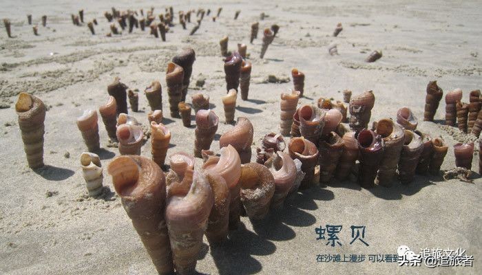 简单趣味沙滩团建,适合海边玩的拓展团建游戏