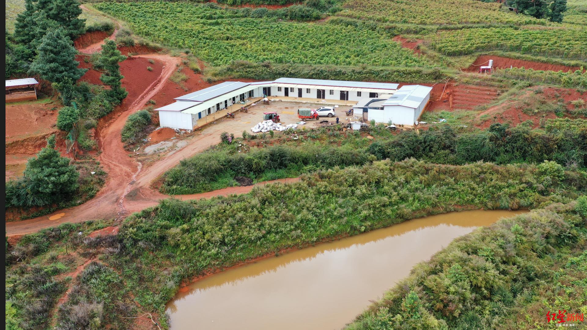 借高利贷被10余人追债反杀,男子借款5万被讨债