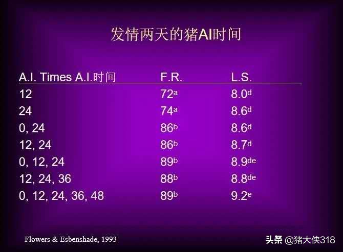 猪二胎人工授精间隔多久,人工授猪精怎样才正确